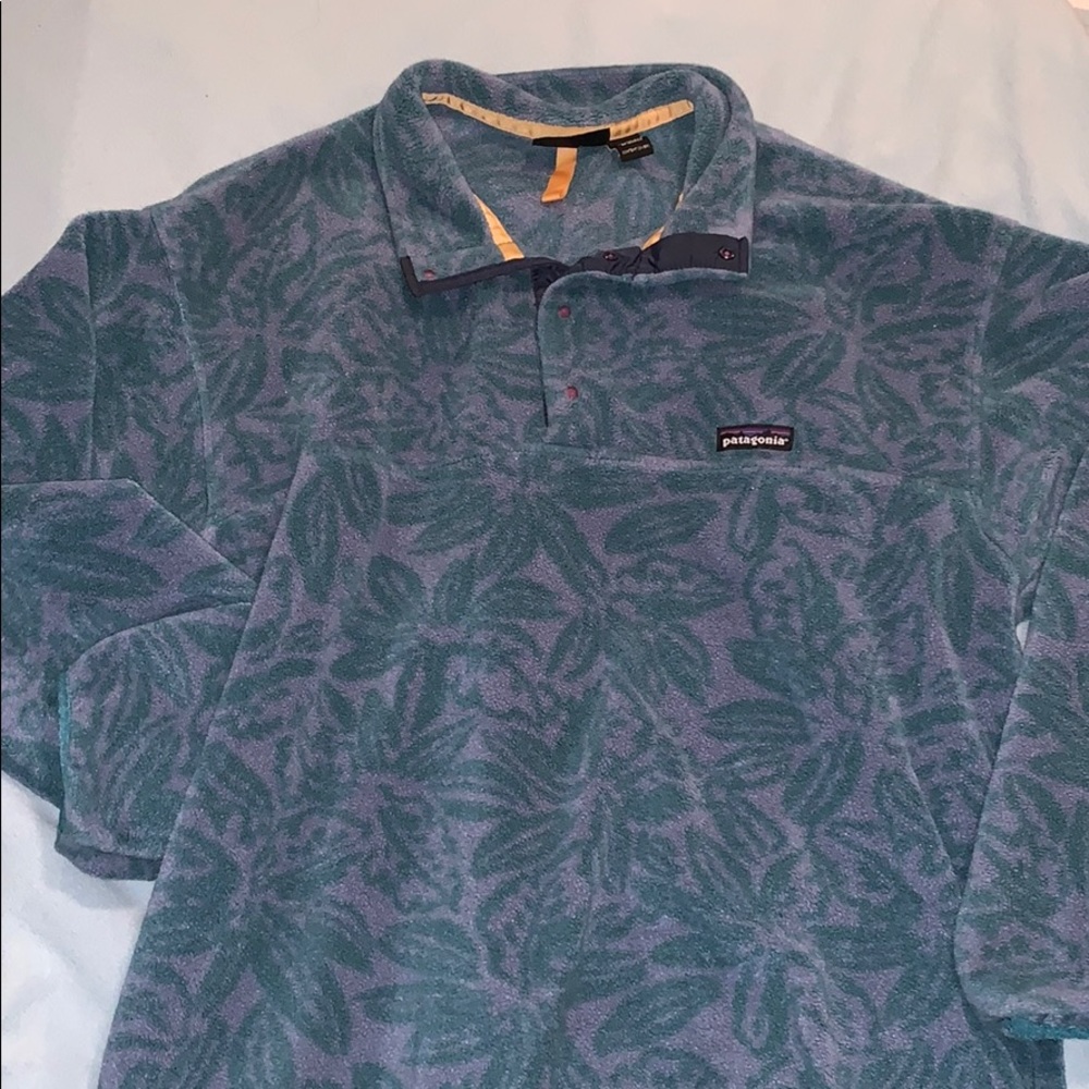 blue and green patagonia jacket